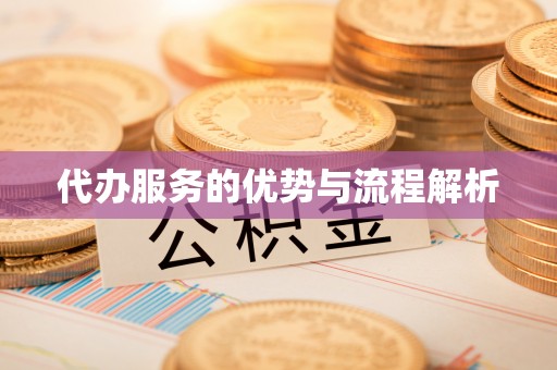 桐城代办服务的优势与流程解析