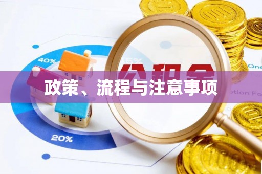 桐城政策、流程与注意事项