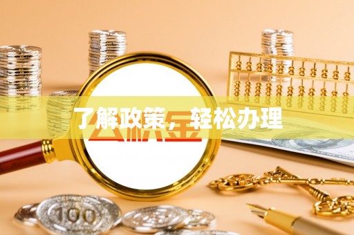 桐城了解政策，轻松办理