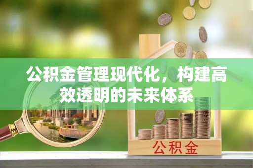 桐城公积金管理现代化，构建高效透明的未来体系