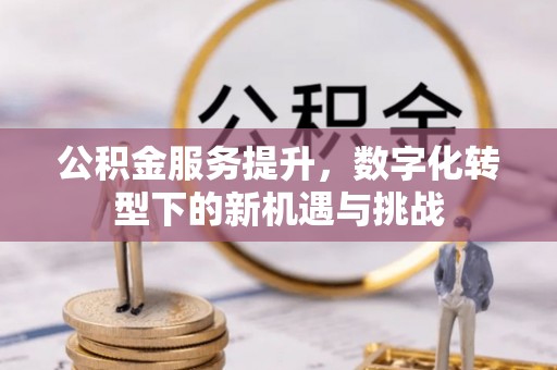 桐城公积金服务提升，数字化转型下的新机遇与挑战