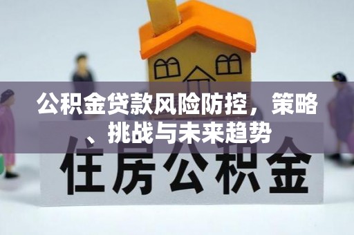 桐城公积金贷款风险防控，策略、挑战与未来趋势