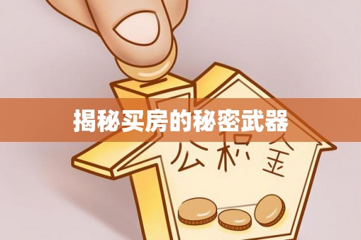 桐城揭秘买房的秘密武器