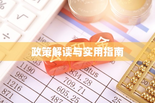 桐城政策解读与实用指南
