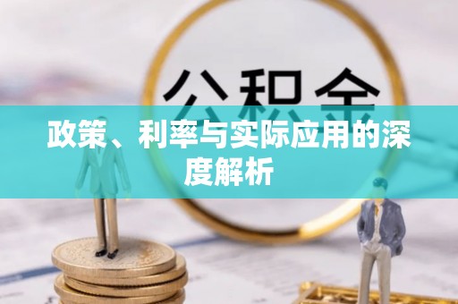 桐城政策、利率与实际应用的深度解析