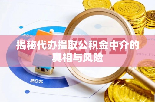 桐城揭秘代办提取公积金中介的真相与风险