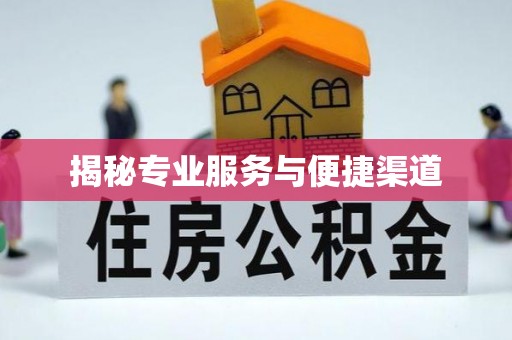 桐城揭秘专业服务与便捷渠道