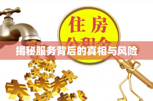 桐城揭秘服务背后的真相与风险