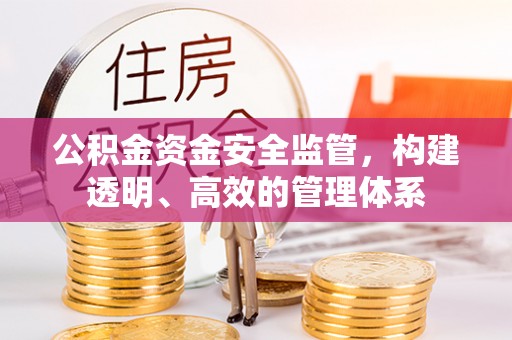 桐城公积金资金安全监管，构建透明、高效的管理体系