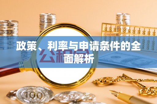 桐城政策、利率与申请条件的全面解析