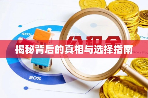 桐城揭秘背后的真相与选择指南
