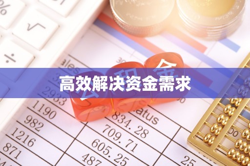 桐城高效解决资金需求