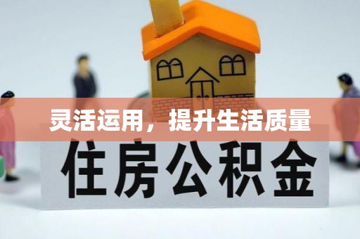 桐城灵活运用，提升生活质量