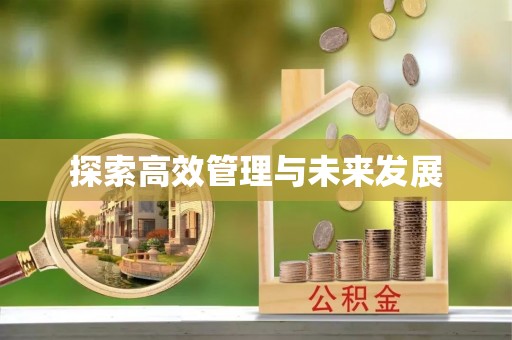 桐城探索高效管理与未来发展