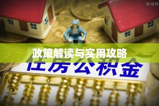 桐城政策解读与实用攻略