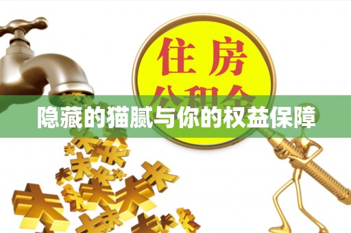 桐城隐藏的猫腻与你的权益保障