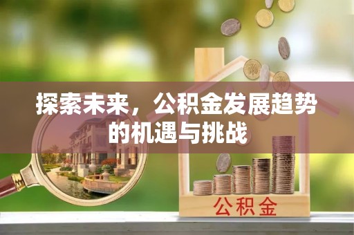 桐城探索未来，公积金发展趋势的机遇与挑战