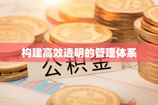 桐城构建高效透明的管理体系
