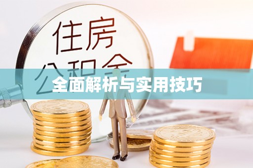 桐城全面解析与实用技巧