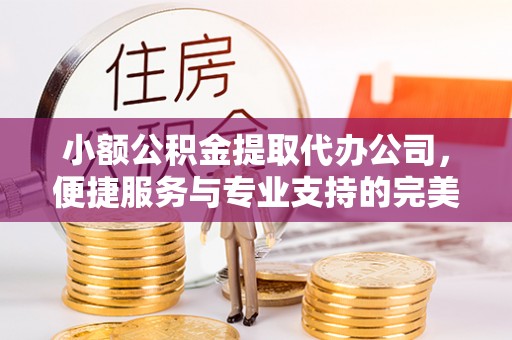 桐城小额公积金提取代办公司，便捷服务与专业支持的完美结合
