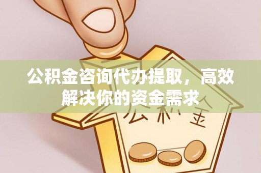桐城公积金咨询代办提取，高效解决你的资金需求