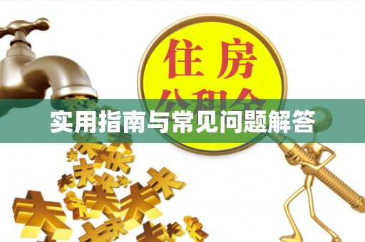 桐城实用指南与常见问题解答
