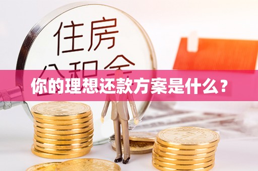 桐城你的理想还款方案是什么？