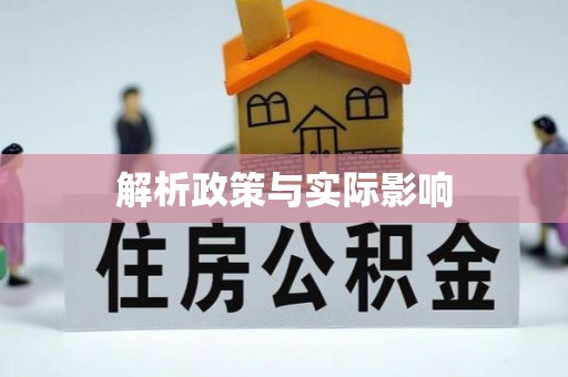桐城解析政策与实际影响
