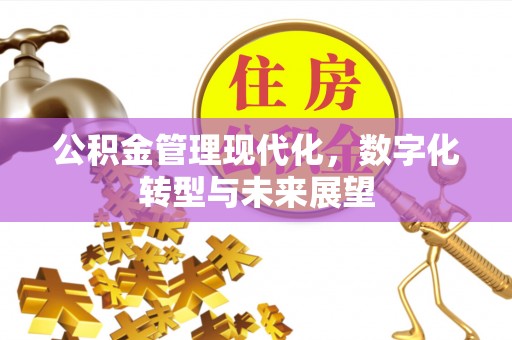 桐城公积金管理现代化，数字化转型与未来展望