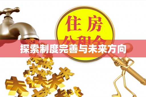 桐城探索制度完善与未来方向