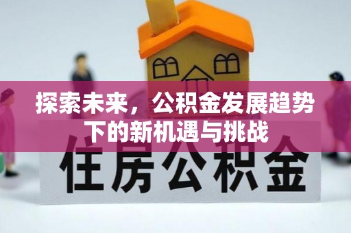桐城探索未来，公积金发展趋势下的新机遇与挑战