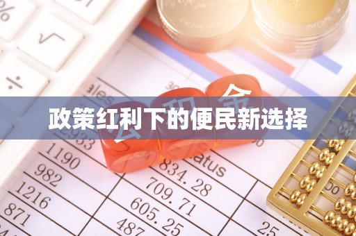 桐城政策红利下的便民新选择