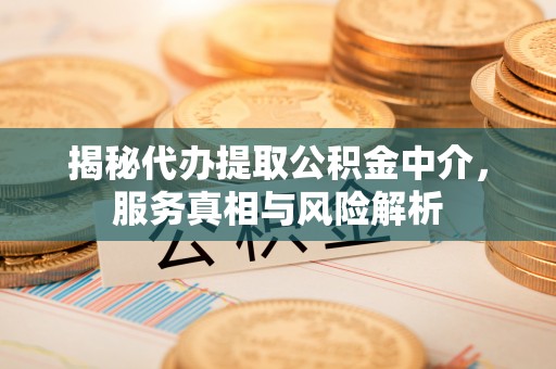 桐城揭秘代办提取公积金中介，服务真相与风险解析