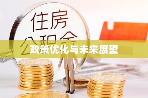桐城政策优化与未来展望