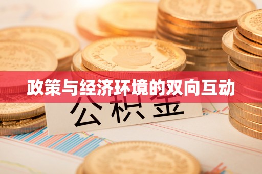 桐城政策与经济环境的双向互动