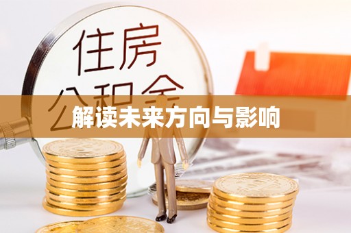 桐城解读未来方向与影响