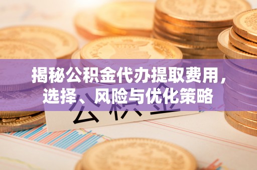 桐城揭秘公积金代办提取费用，选择、风险与优化策略