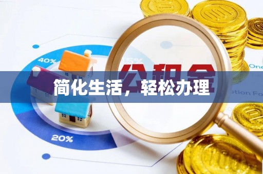 桐城简化生活，轻松办理