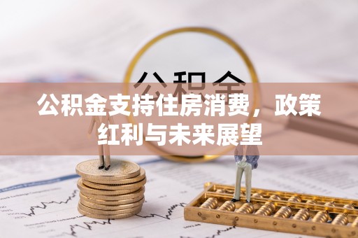 桐城公积金支持住房消费，政策红利与未来展望