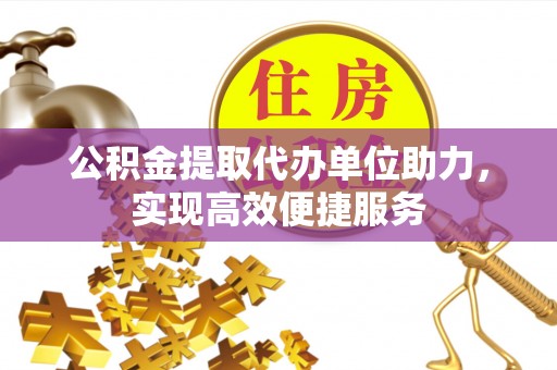 桐城公积金提取代办单位助力，实现高效便捷服务
