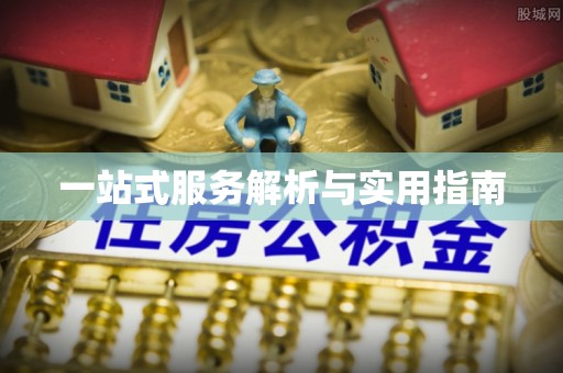 桐城一站式服务解析与实用指南