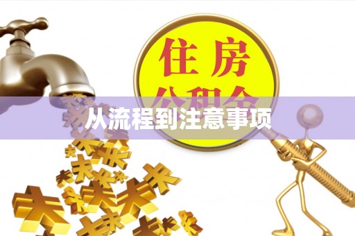 桐城从流程到注意事项