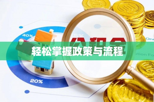 桐城轻松掌握政策与流程
