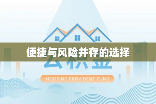 桐城便捷与风险并存的选择