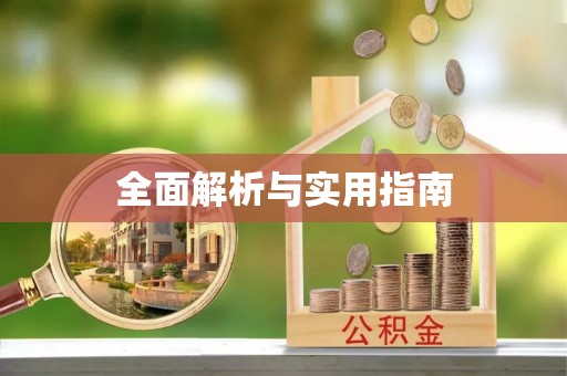桐城全面解析与实用指南
