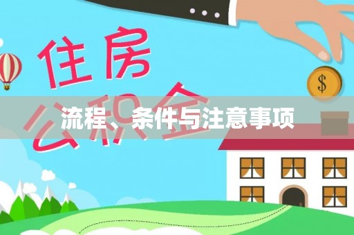 桐城流程、条件与注意事项